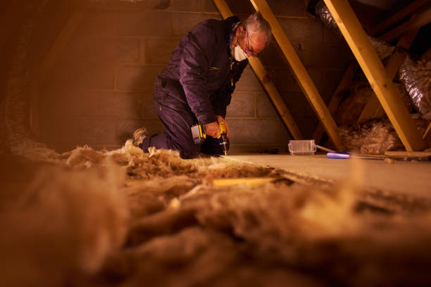 Best Insulation Maintenance and Repair in Union Point, GA